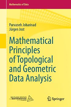 Mathematical Principles of Topological and Geometric Data Analysis