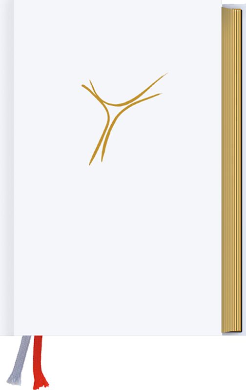 Gotteslob. Katholisches Gebet- und Gesangbuch. Ausgabe für die Diözese Regensburg