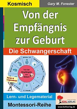 Von der Empfängnis zur Geburt