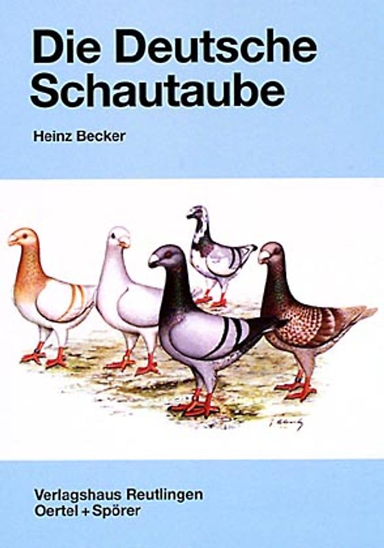 Die Deutsche Schautaube