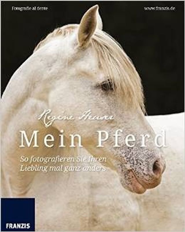 Mein Pferd - So fotografieren Sie Ihren Liebling mal ganz anders