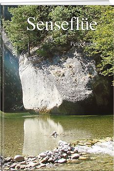 Senseflüe