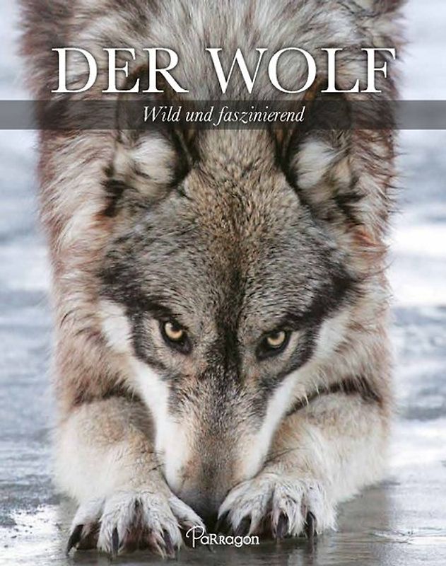 Der Wolf - Wild und faszinierend