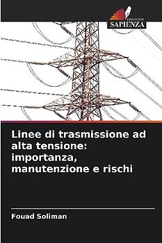 Linee di trasmissione ad alta tensione: importanza, manutenzione e rischi