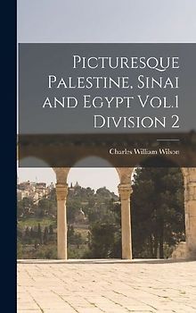 Picturesque Palestine, Sinai and Egypt Vol.1 Division 2