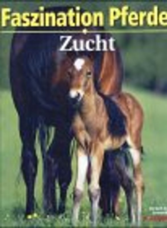 Faszination Pferde-Zucht