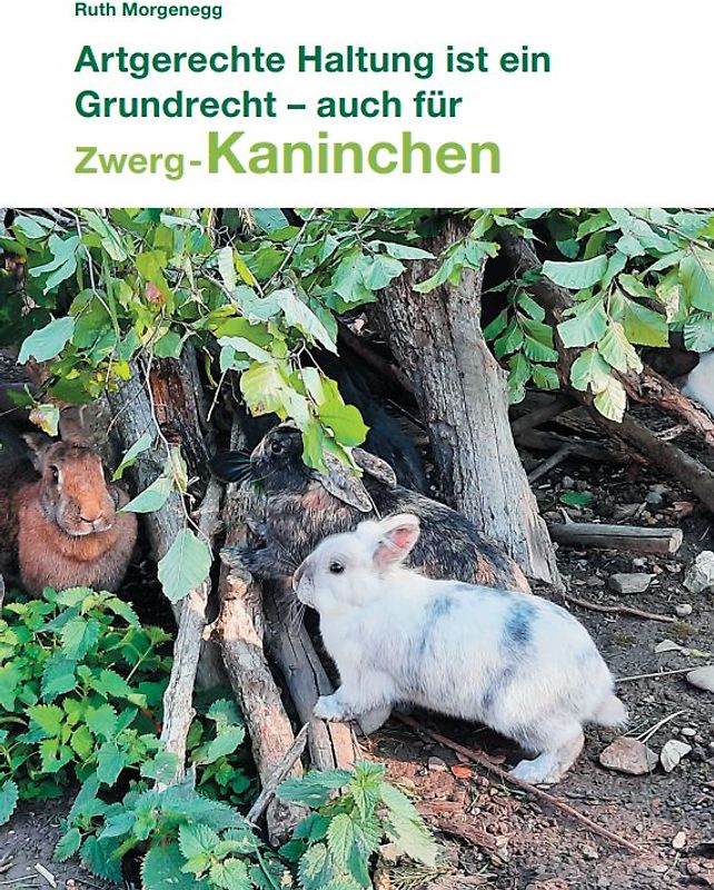 Artgerechte Haltung ist ein Grundrecht - auch für (Zwerg-) Kaninchen
