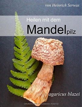 Heilen mit dem Mandelpilz