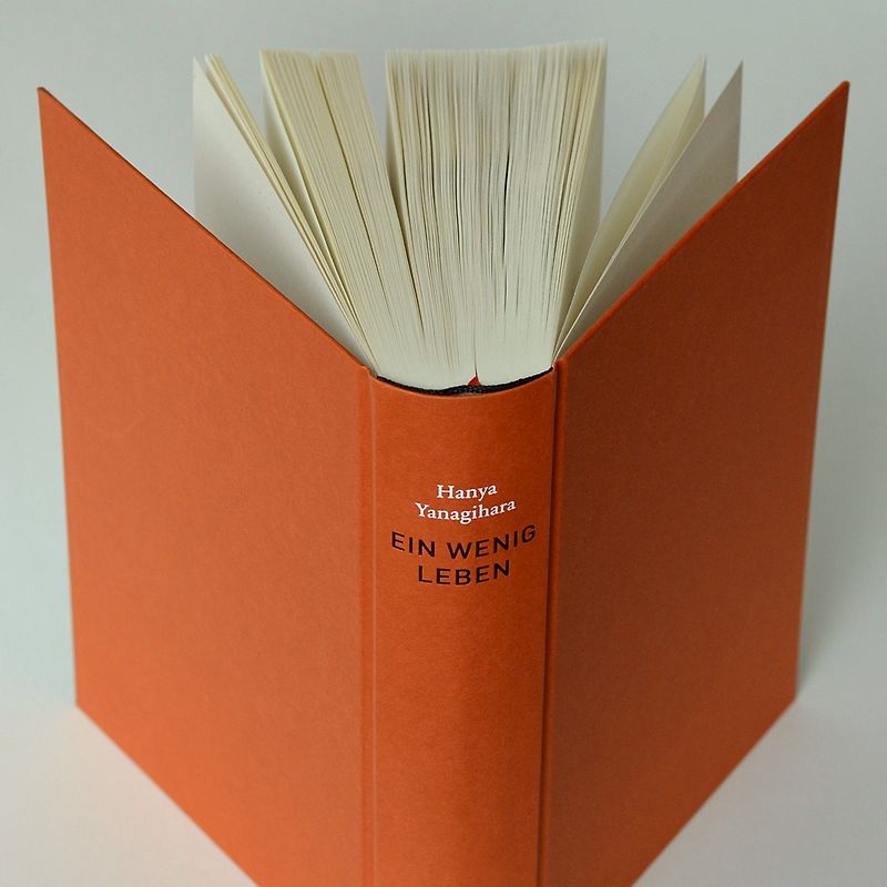 Dem Norden entgegen. Europa-Fernwanderweg. Auf dem E5 von Verona nach Meran