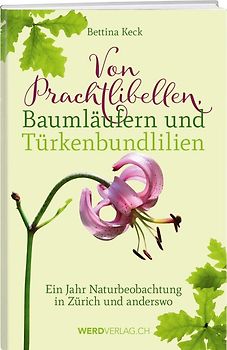 Von Prachtlibellen, Baumläufern und Türkenbundlilien
