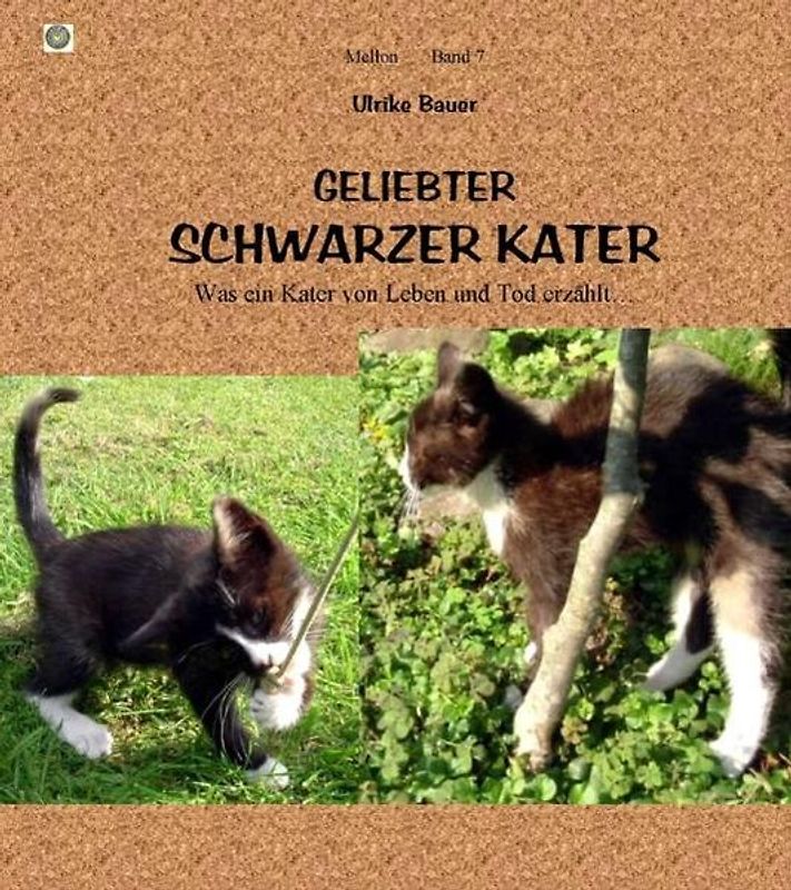 Geliebter Schwarzer Kater