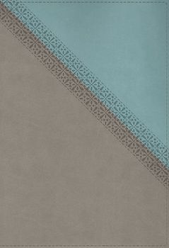 NIV Application Bible, Leathersoft, Teal/Grey, Red Letter, Comfort Print