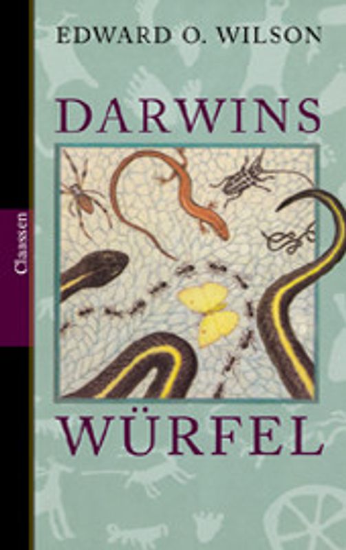 Darwins Würfel