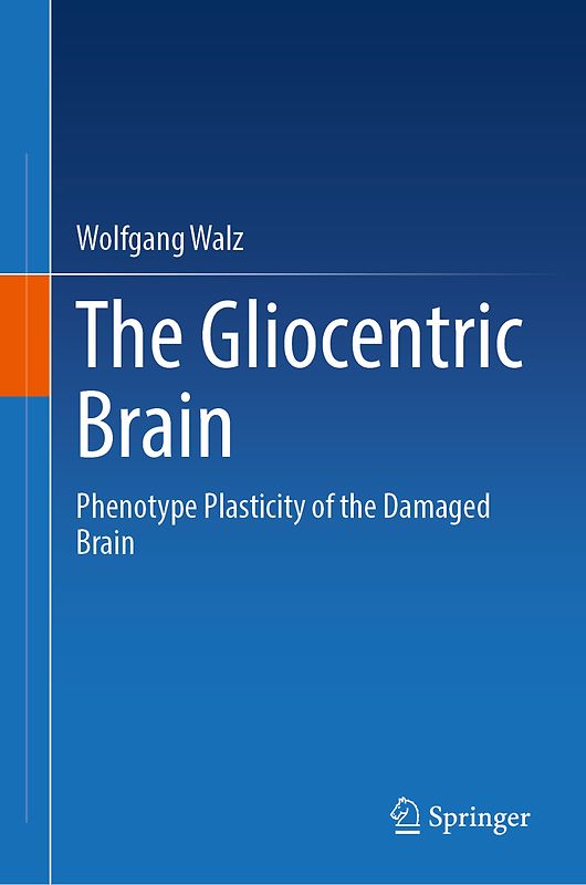 The Gliocentric Brain