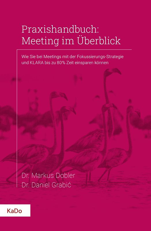 Praxishandbuch: Meeting im Überblick
