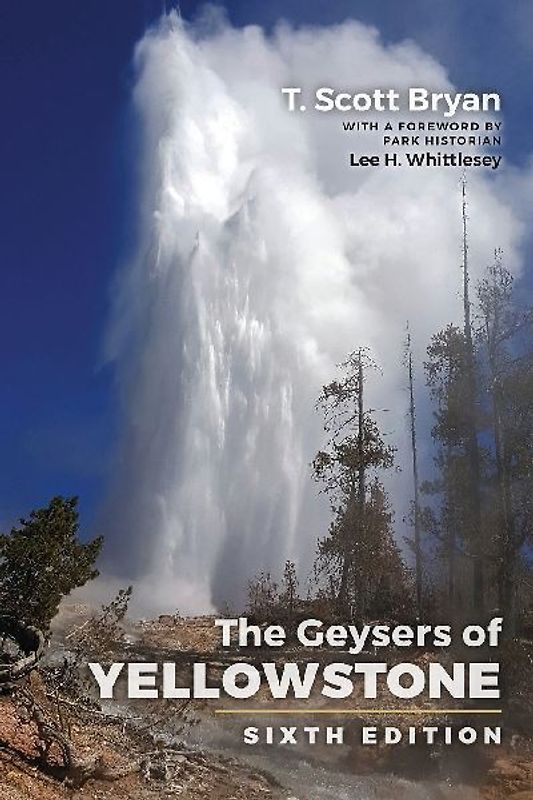The Geysers of Yellowstone