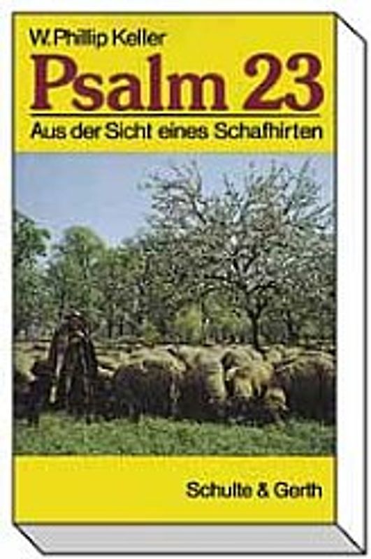 Wie lebe ich mit meinen Kindern... ohne durchzudrehen?