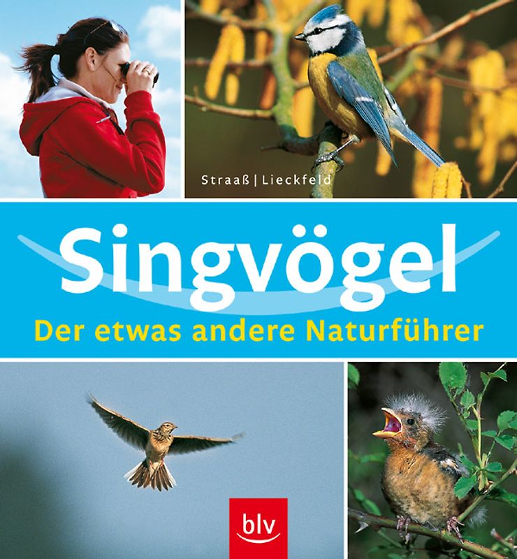 Singvögel