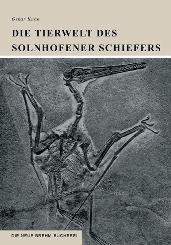 Die Tierwelt des Solnhofener Schiefers