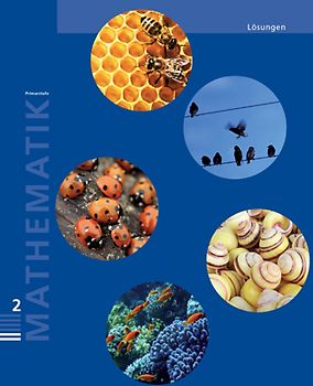 Mathematik 2 Primarstufe / Lösungen