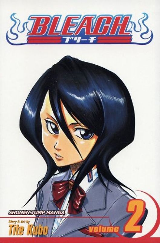 Bleach, Vol. 2: v. 2 - Tite Kubo