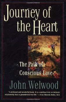 Journey of the Heart: Path of Conscious Love, The: Intimate Relationships and the Path of Love - John Welwood