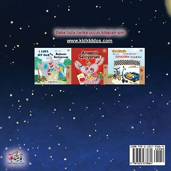 A Wonderful Day (Turkish Book for Children)