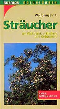 Sträucher
