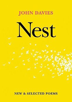 Nest
