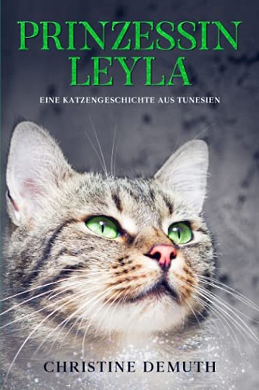 Prinzessin Leyla: Eine Katzengeschichte aus Tunesien