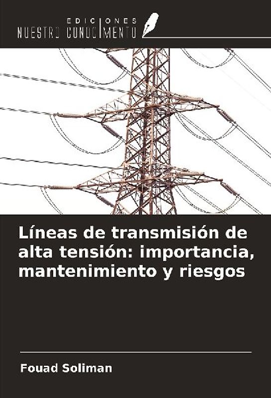 Líneas de transmisión de alta tensión: importancia, mantenimiento y riesgos