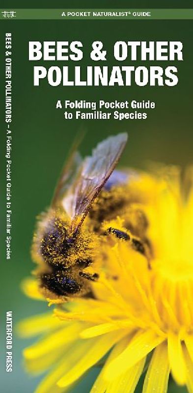 Bees & Other Pollinators