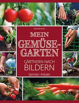Gemüsegarten - nach Bildern