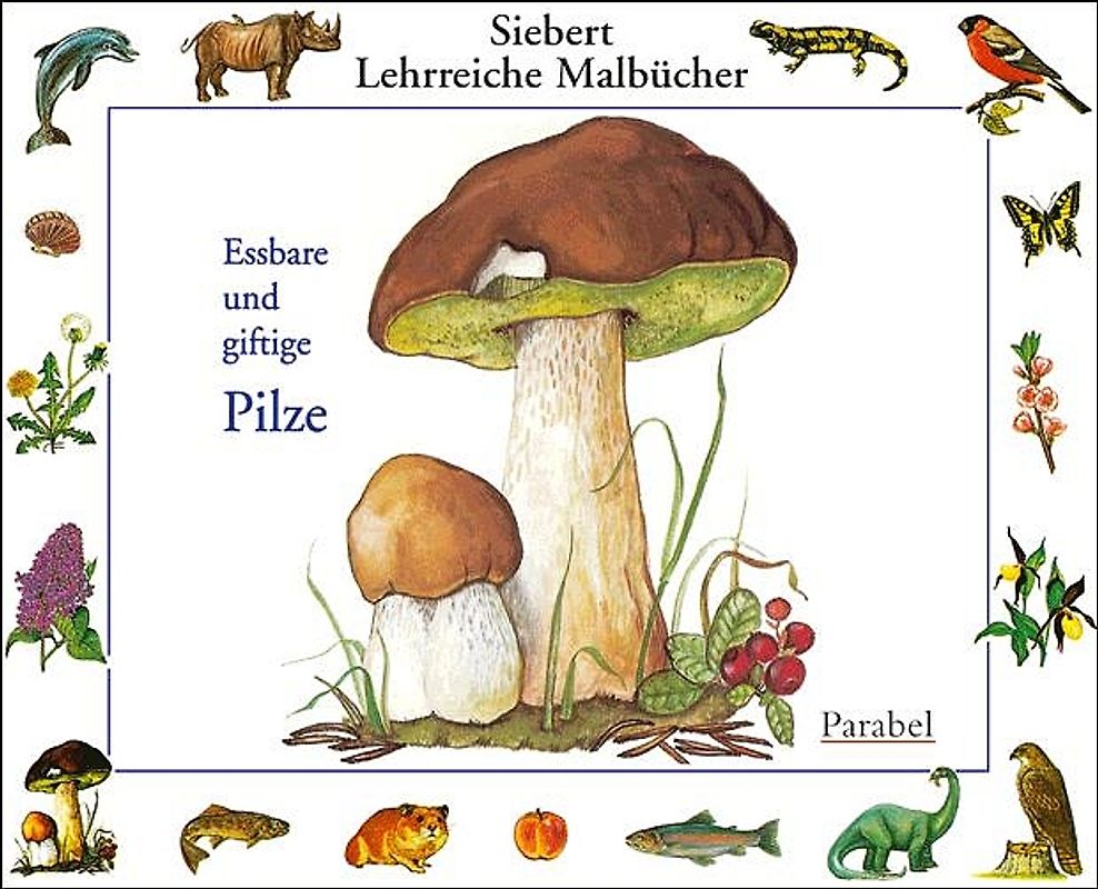 Essbare und giftige Pilze. Malbuch