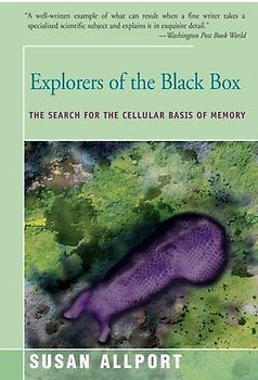 Explorers of the Black Box