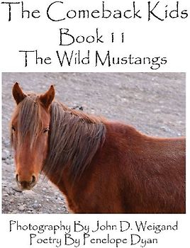 The Comeback Kids--Book 11--The Wild Mustangs