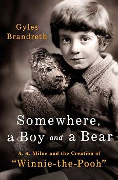 Somewhere, a Boy and a Bear