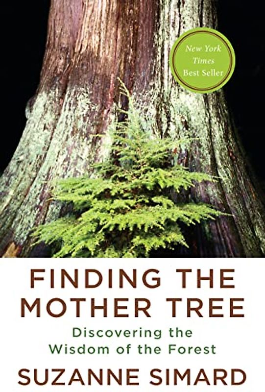 Finding the Mother Tree: Discovering the Wisdom of the Forest