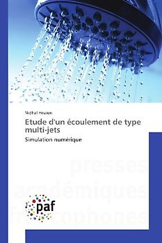 Etude d'un écoulement de type multi-jets