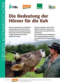 Die Bedeutung der Hörner für die Kuh