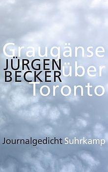 Graugänse über Toronto