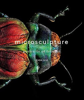 Microsculpture