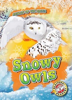 Snowy Owls