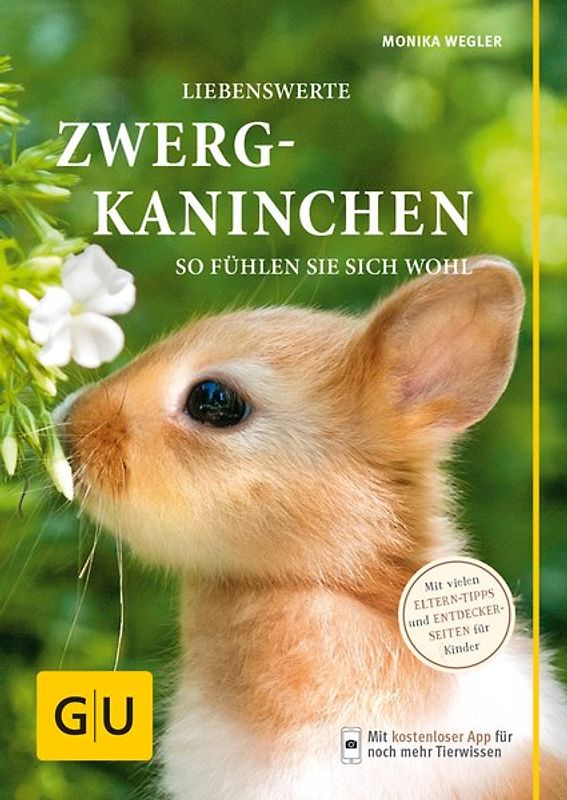 Liebenswerte Zwergkaninchen