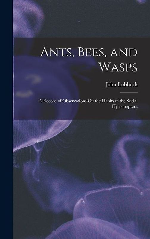 Ants, Bees, and Wasps