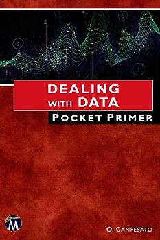 Dealing With Data Pocket Primer