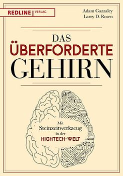 Das überforderte Gehirn