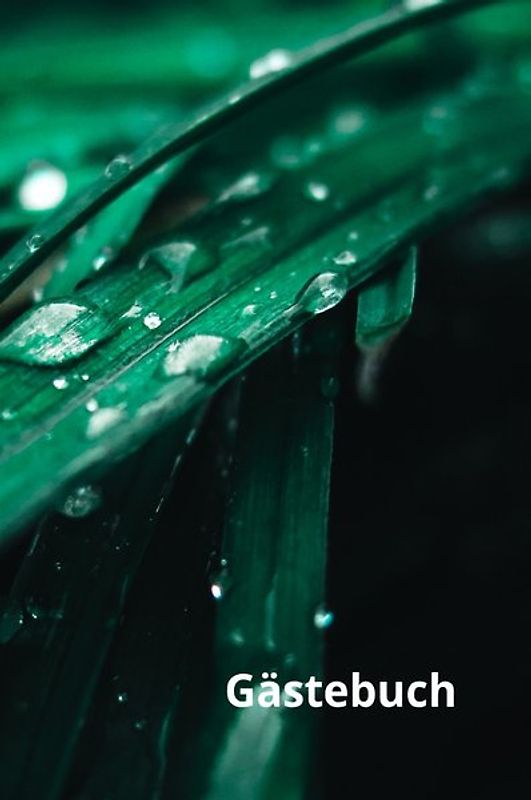 Gästebuch