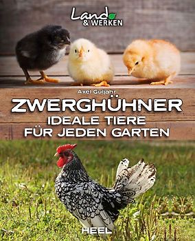 Zwerghühner: Ideale Tiere für jeden Garten