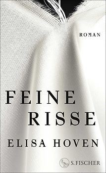 Feine Risse
